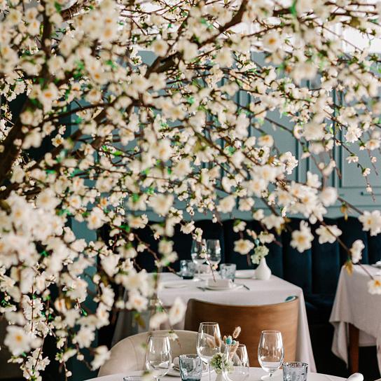 Mediterrane Aromen, zwischen Kanälen